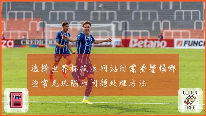 选择世界杯投注网站时需要警惕哪些常见坑陷和问题处理方法